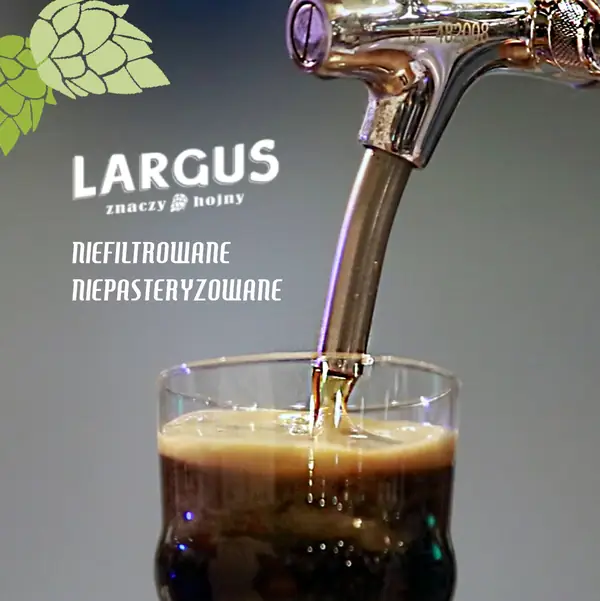 Grafika Largus do social media